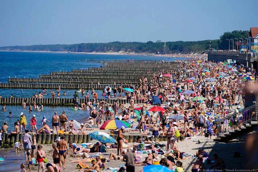 Калининград вода в море в августе. Море в зеленоградске калининградской области. пляж в зеленоградске калининградской области 2025. пляж в зеленоградске калининградской. калининград зеленоградск пляж.