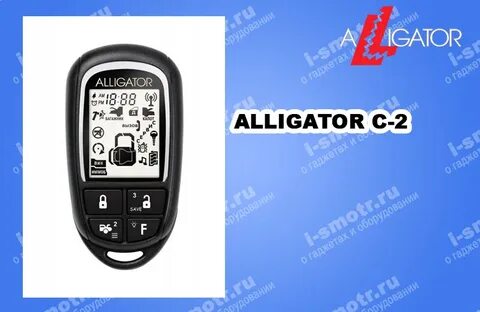 Alligator 2c
