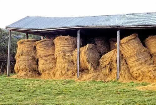 Сноп света. Сарай для снопов букв. Сноп. Хлев для скота. Сарай для снопов букв.