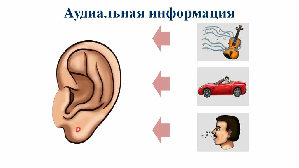 Восприятие слуховой информации. Аудиальная информация. Слуховое восприятие информации. Слуховые ощущения. Слуховой вид информации.