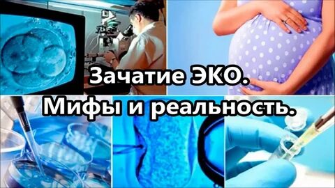 Эко зачатие