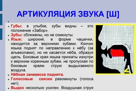 Звуки голоса положение