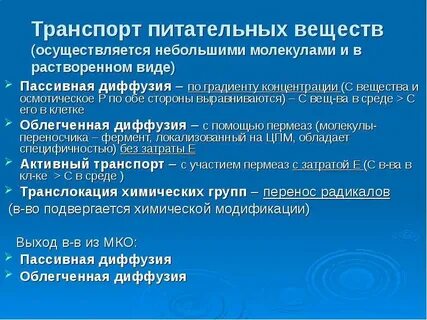 Транспорт питательных