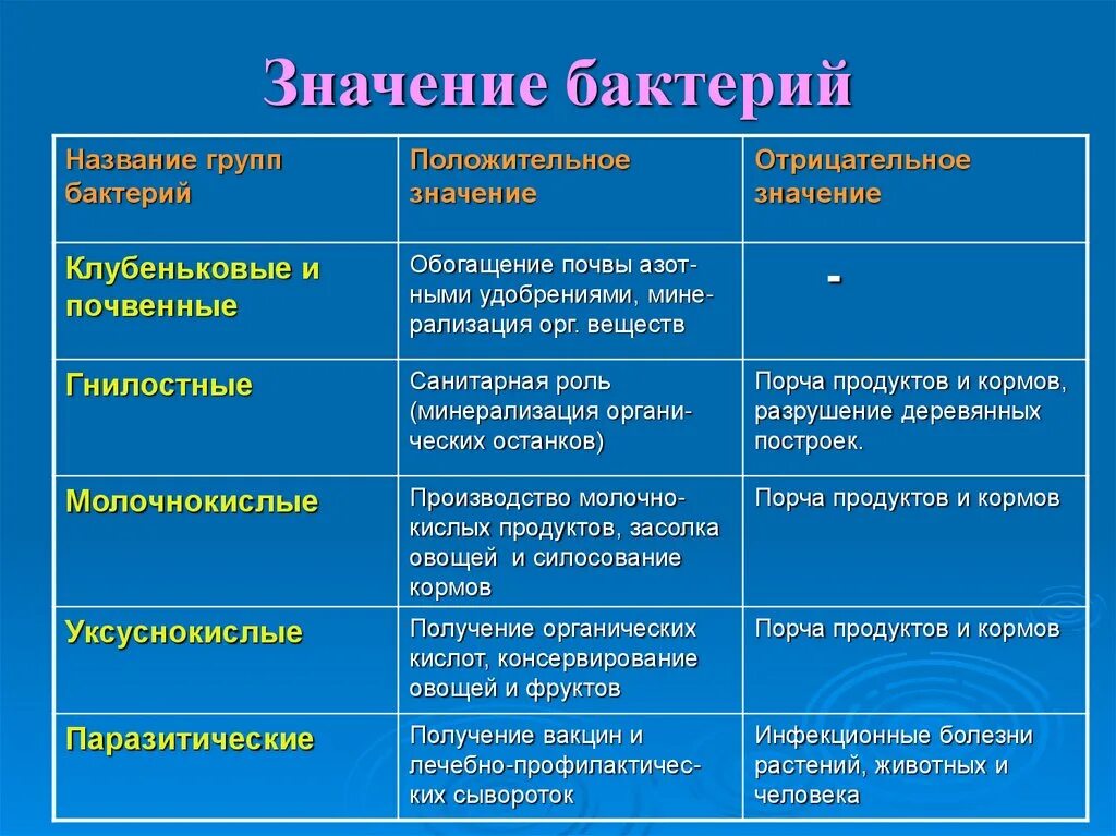 Бактерии и их значение. Положительное значение бактерий. отрицательное значение бактерий.