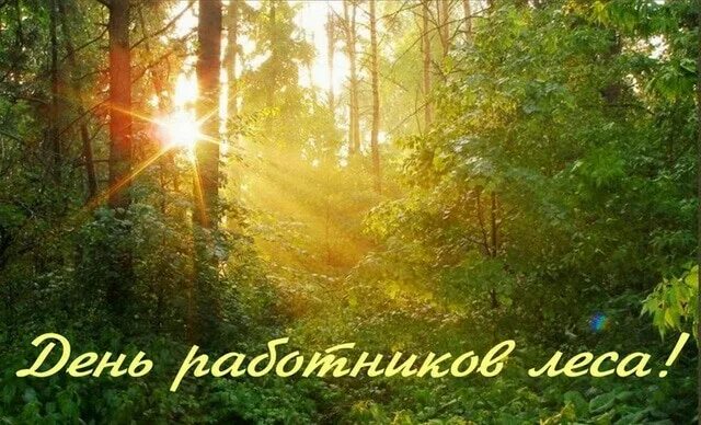 Николай Белохвост - Заметки OK.RU
