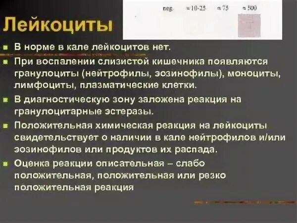 Кал лейкоциты