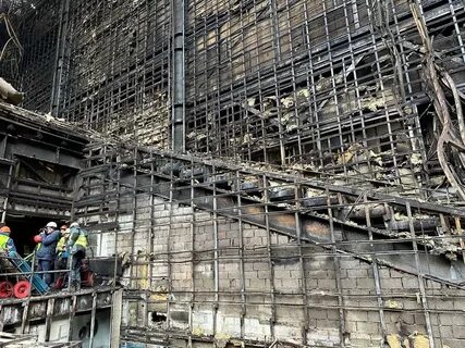 Что случилось с крокусом в москве