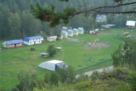 Дол алтайский край