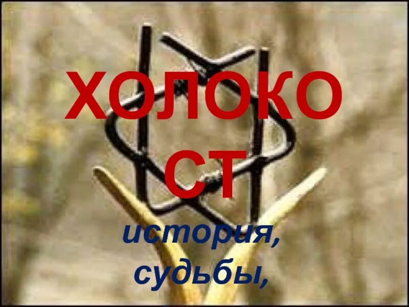Судьбы холокоста. Судьбы холокоста
