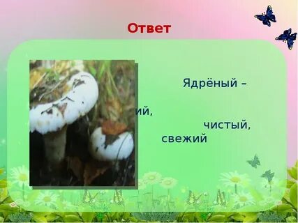 Звонкий ответ