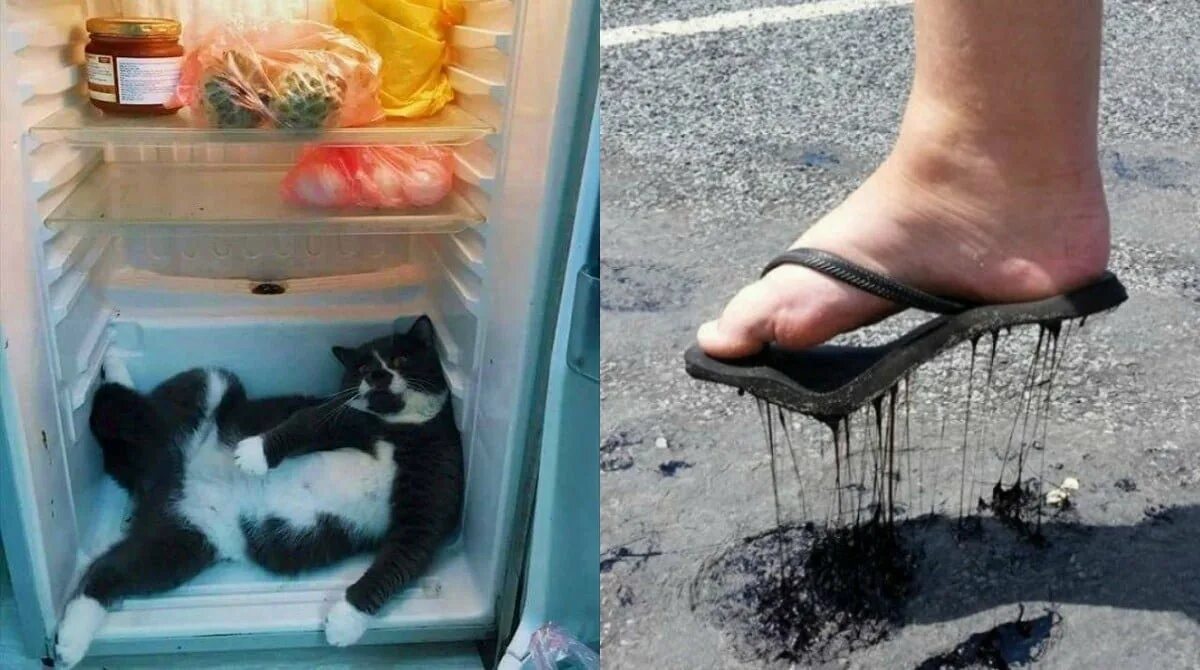 Почему так жарко. Закройте окно мне дует мем. Потому что очень жарко. Девушки в жару. Закройте окно мне дует.