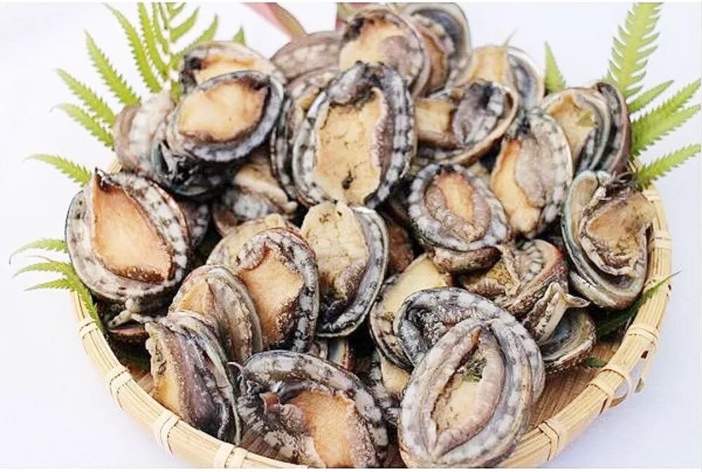 NUTRITION Food Galleria International selection of Seafood, Molluscs