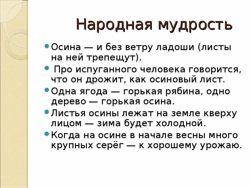 Как появилась поговорка дрожит как осиновый лист. Дрожать как осиновый лист значение фразеологизма. Дрожит как осиновый лист. Дрожать как осиновый лист фразеологизм. Что означает дрожать как осиновый лист.