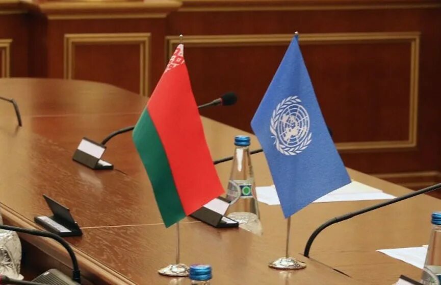 Оон беларусь. Представитель Беларуси в ООН. Отделение ООН В Женеве. Женщина на собрании ООН.