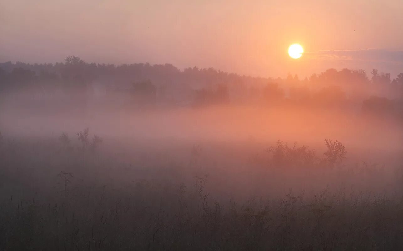 Туманное розовое утро. Розовый туман. Розовый туман в сельском Городке. Розовый туман, поля.