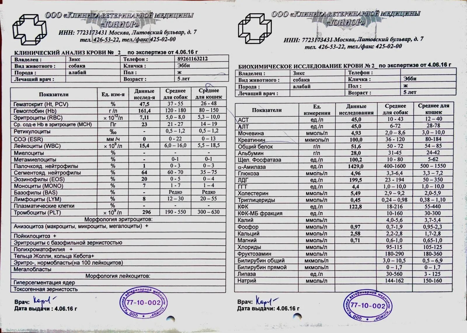 Pct повышен. Анализ крови у собаки биохимия расшифровка. Расшифровка анализа крови биохимический ОАК. Таблица результатов биохимического анализа крови для собак. Биохим анализ крови норма у собаки.