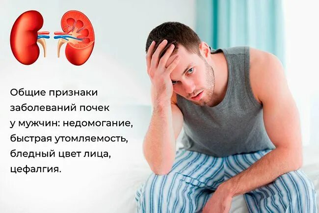 Как узнать что болят почки. Как узнать что болят почки