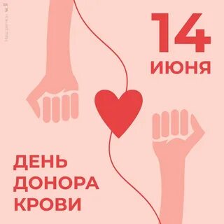 День донора отчет
