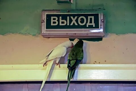 Что такое найти выход
