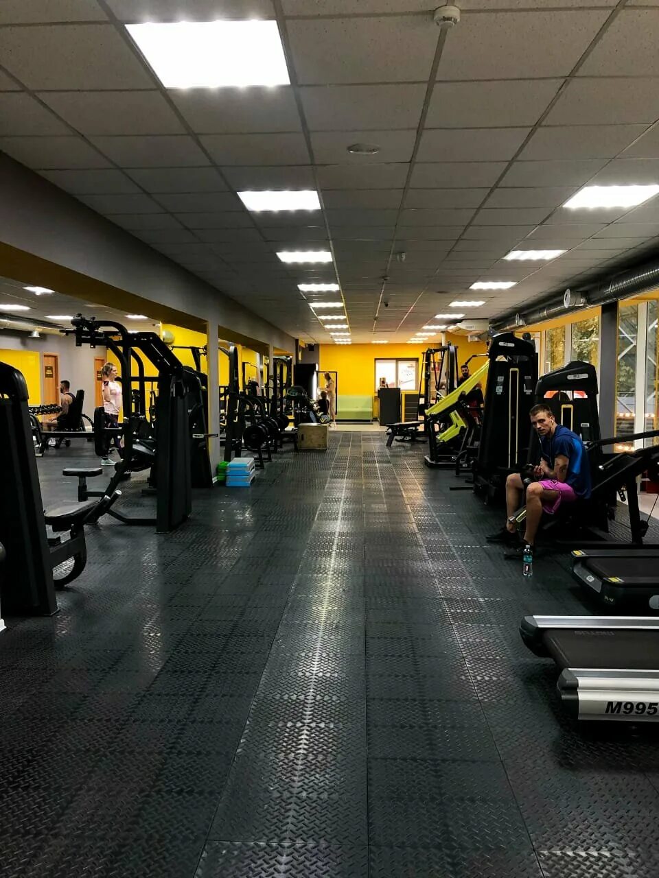 мега фитнес краснодар тургенева. дом физкультурника краснодар мачуги. спортзал краснодар. тренажерный зал медведь краснодар. территория фитнеса куркино.