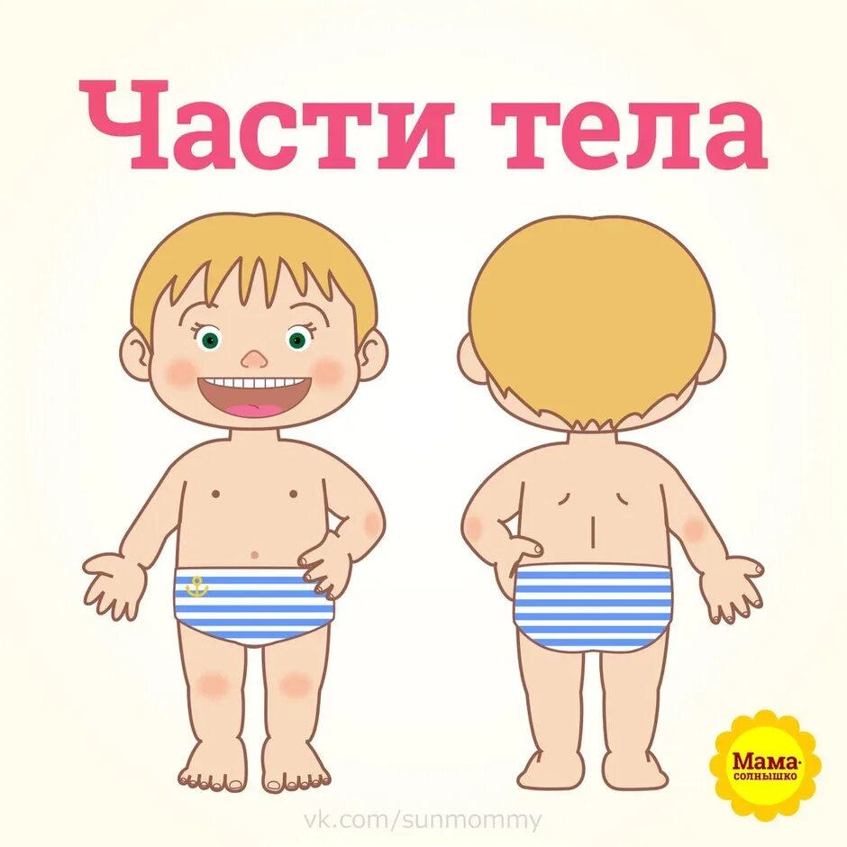 В организм ребенка это. Детский организм. Строение тела для детей. В организм ребенка это. Рост организма дети.