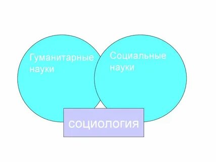 Социология в системе гуманитарного знания презентация