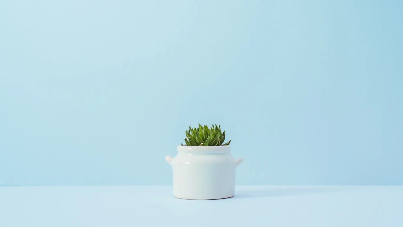 Шутки про минимализм. Минимализм арт. Минималистичные обои на рабочий стол. Картинки минимализм. Спокойствие минимализм.