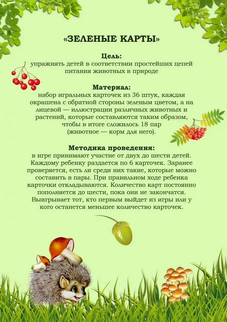 Экологические игры в средней группе