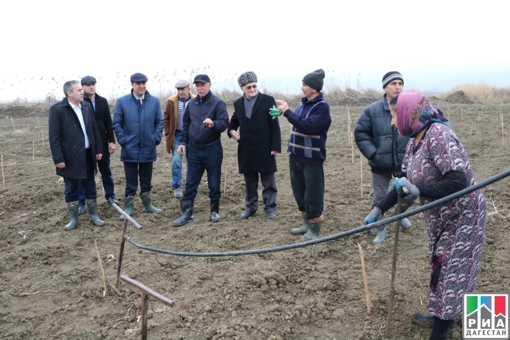 Глава села Геджух. Село Геджух Дербентский район. Рукель Дагестан. Рукель Дербентский район.