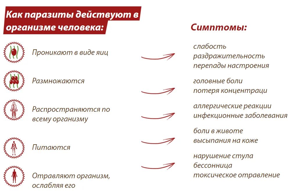 Симптомы паразитов у взрослого человека. Паразиты в организме симптомы. Паразиты в организме человека симптомы. Глисты в организме симптомы.