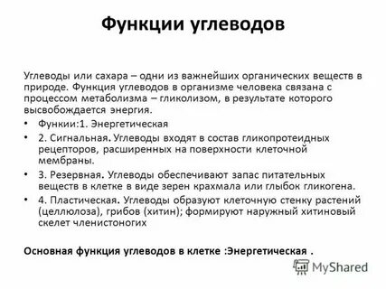 Функции углеводов кратко биология