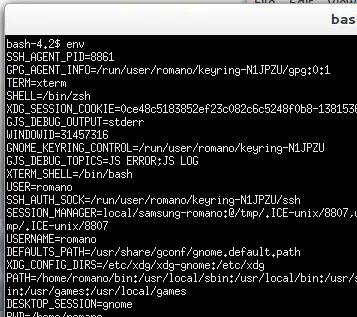 Bash env variable