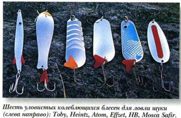 What a fish, what a sparkle. Vertushki and oscillators for many years are the mo