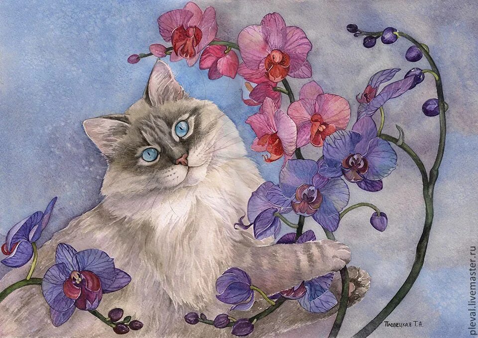 Кошка с цветами акварель. Кот с цветочком. Кошки в живописи. Рисунок кота с цветами