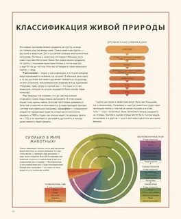 Кто есть кто в мире природы