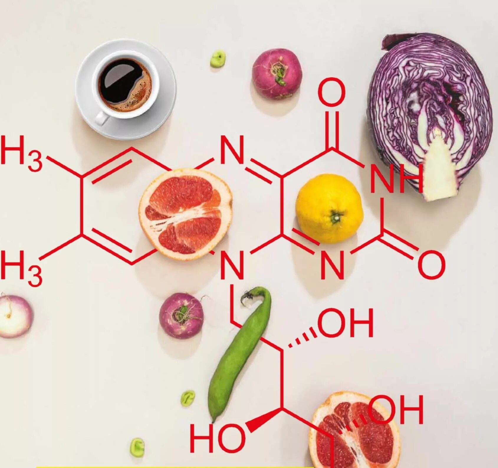 биохимия питания. биохимические основы питания. физиологические и гигиенические основы питания. биохимия пищи. биохимические основы питания.