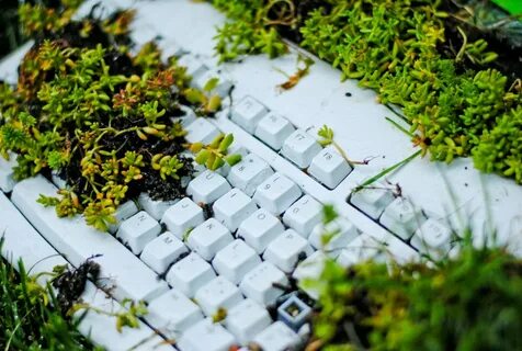 Natural system
