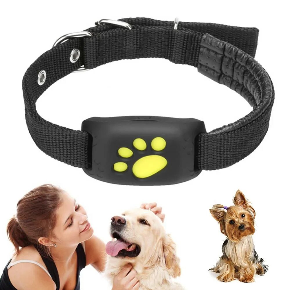 Gps трекер для животных. Ошейник pet gps-трекер. gps ошейник трекер для животных z8. мини жпс трекер для собак. ошейник трекер для собак waterproof.