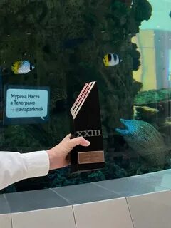 Мурена настя