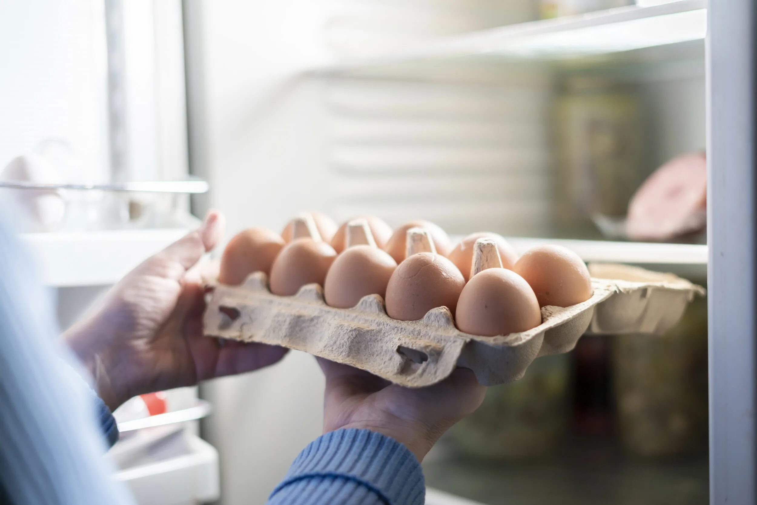 Мытые яйца можно хранить. Яйца в холодильнике. Хранение яиц. Диетические и столовые яйца. Вкладыш для яиц в холодильник.