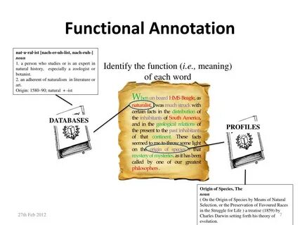 Annotation class