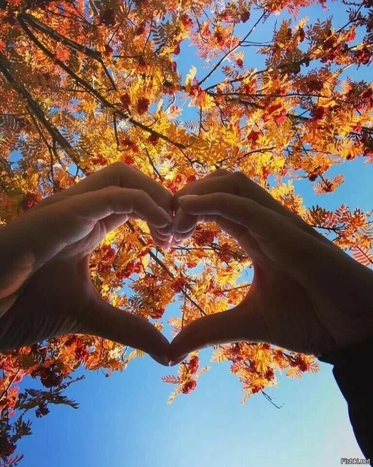 В сентябре будет мир. Любовь осенью. Осеннее сердечко. Осенняя любовь. Осень романтика.