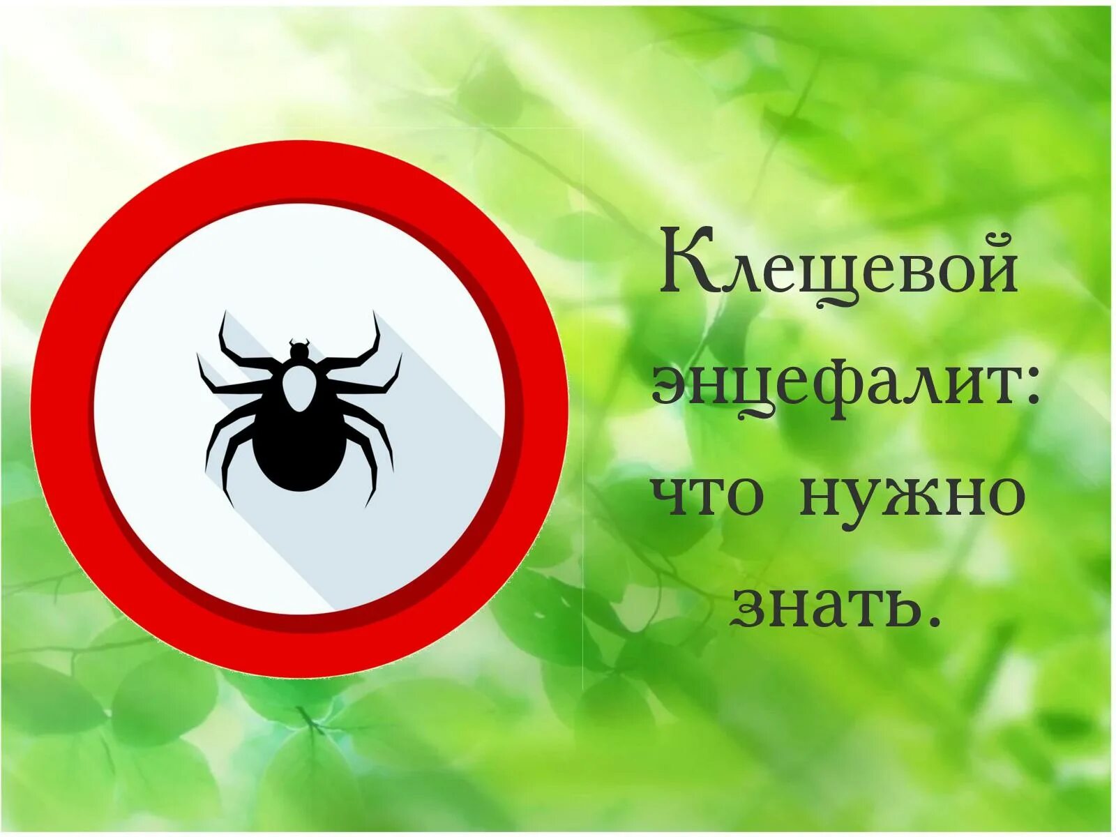 Осторожно клещи картинки. Осторожно клещи клещевой вирусный энцефалит. Клещевойщевой энцефалит. Вирус клещевого энцефалита профилактика. О мерах профилактики клещевого вирусного энцефалита.