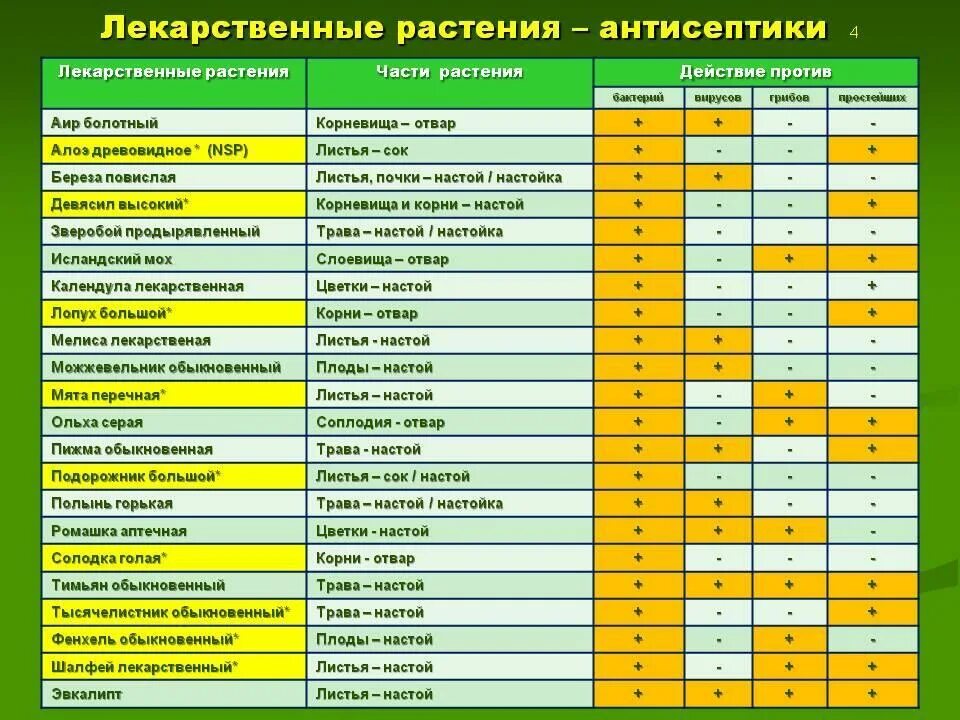 Список лечебных. Лекарственные растения перечень. лечебные травы список. таблица лекарственных трав. календарь сбора лекарственных растений.