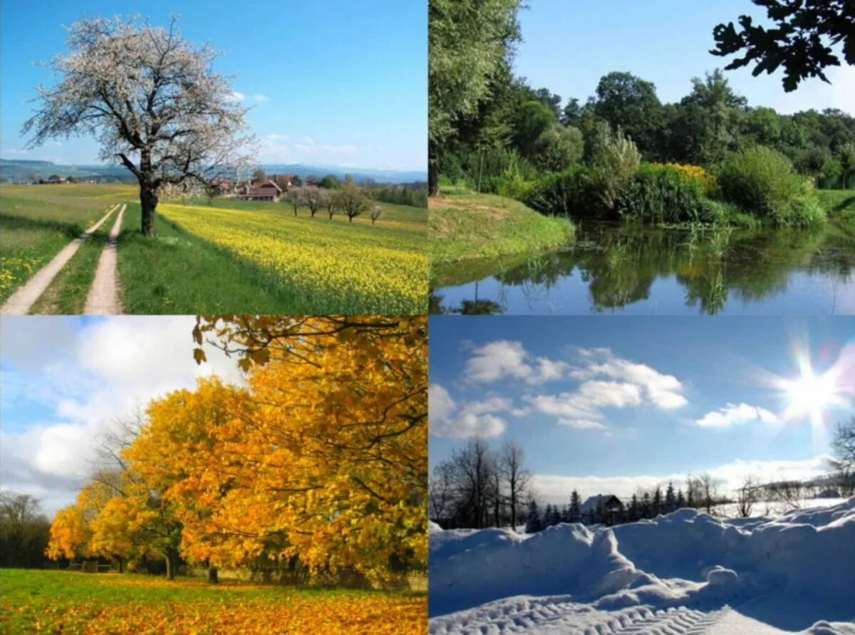 Climate seasons. Пейзаж по временам года. Лето осень. Времена года фото.