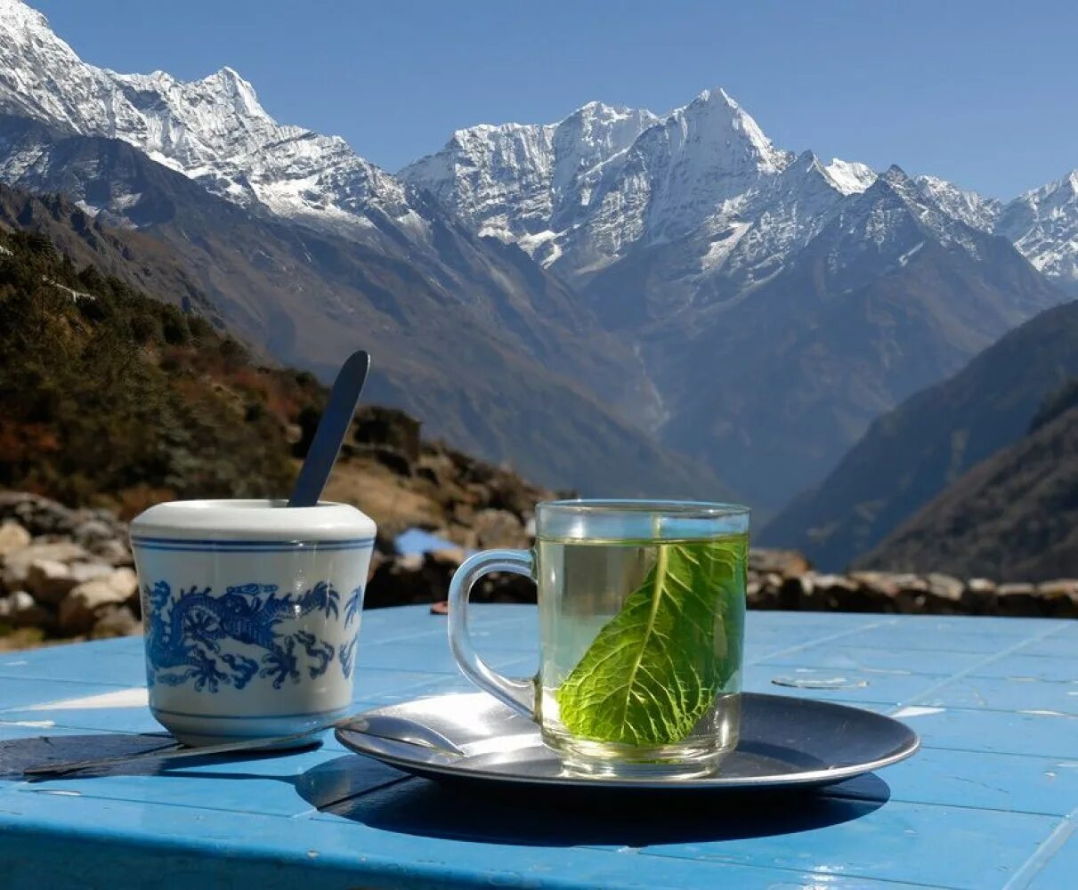 Чай гор. Чаепитие в горах. Чашка чая в горах. Кружка чая в горах. Чай на природе.