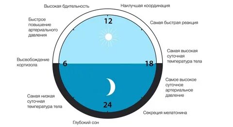 Суточные
