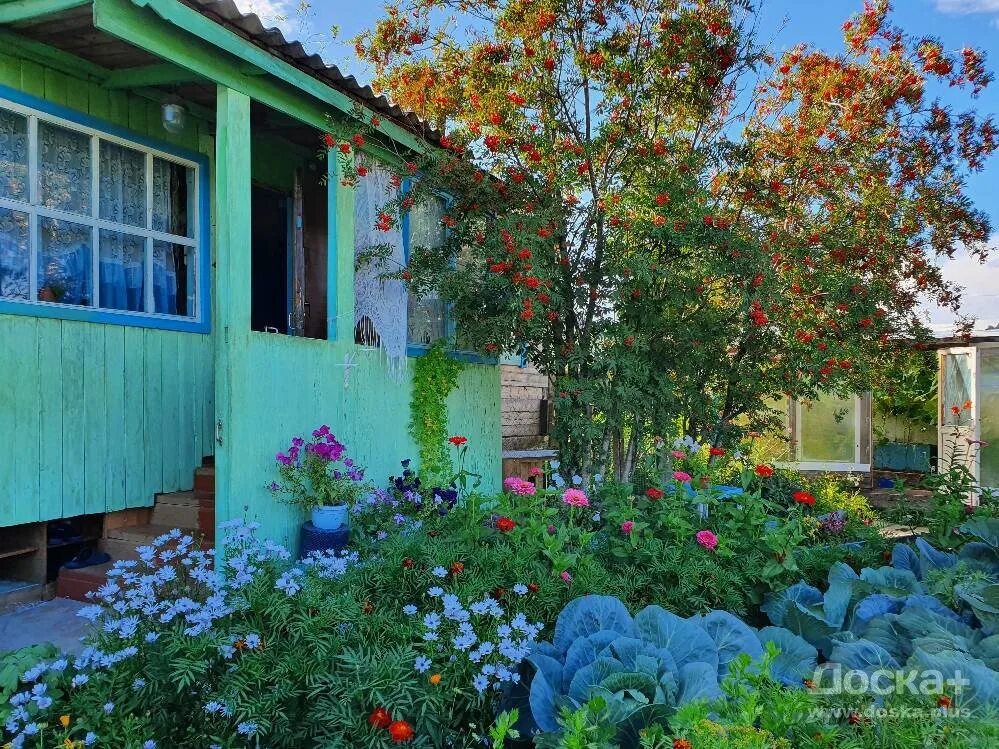 снт сигнал 3 челябинск. свежие дачи свежие объявления чита. дачный участок чита. дачный участок чита. свежие дачи свежие объявления чита.