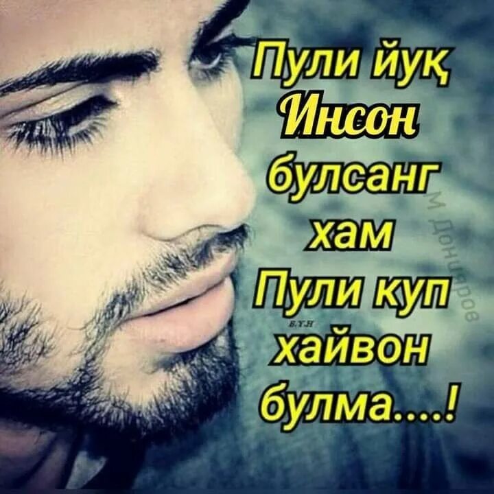 Озодбек назарбеков улишимни согинди кимлар. Kimlar bilan. Элтуз кимлар учун. Калбимда. Sevgim yuragimda картинка.