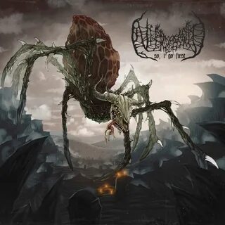 Death covers